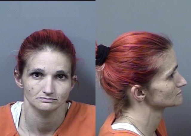 Jessica Holloway arrested Jan. 30 for driving with a suspended license.